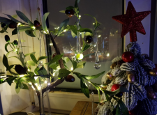 1769703607919.png 1769703607919.png