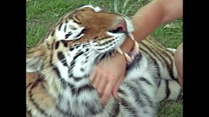 i (5).jpeg i (5).jpeg