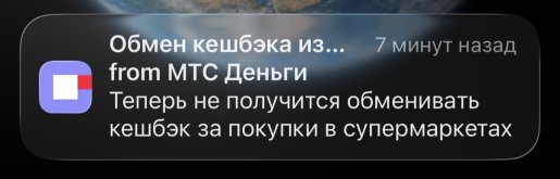 IMG_3292.jpeg