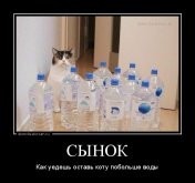 demotivatorium_ru_sinok_84986.jpg