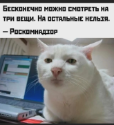 1775710838669.png