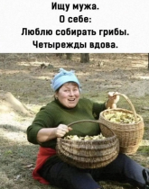 Без имени.png