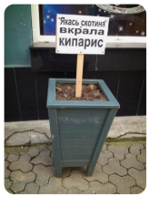 2424245.png