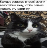 1776578494917.png