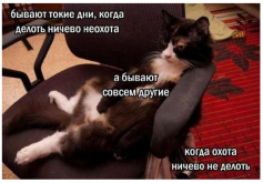 3546567.png