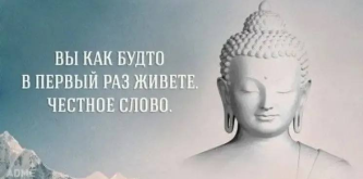 1776670383406.png