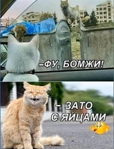 п.png