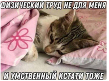 34163234.png