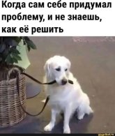 1777274978580.jpeg