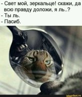 1777295316631.jpeg