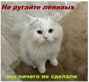 2435346645.png