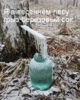 1777452541957.png