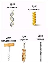 1777484531419.jpeg