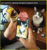 ХД_35.jpg