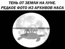 1000103604.jpg