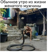 45625356.png