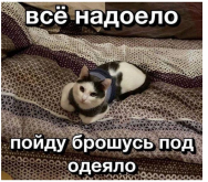 2342879729.png