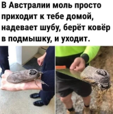 1778570873360.png