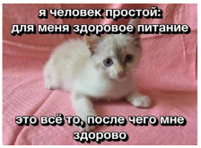 2353566.png