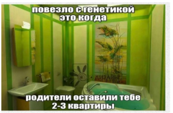 433354757.png
