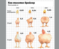 1778756006101.png