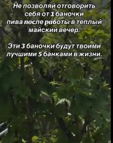 1000104504.jpg