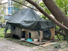 cats_house.jpg