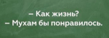 4563709.png
