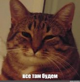 835999abfd50654d53c8c93fb1628958.jpg