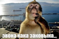 e68562afb58de1ac0f4b37a4c6c9a75c.jpg