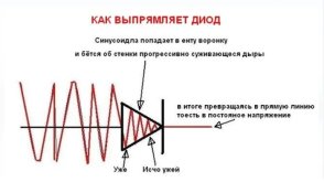 д1.jpg