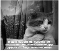 5656756868.png