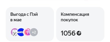 -27.JPG