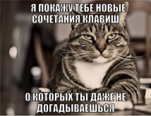 1779260496960.png