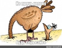 c4d1d58763372efa000da432b646567e.jpg
