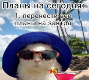 3454567577.png