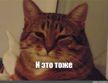 5d490f36a235806f37602af6e27d89f9.jpg