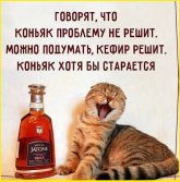 ХД=6.jpg