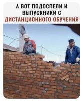 45968794856.png