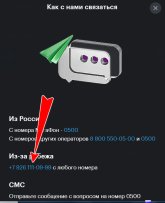 сюда.jpg