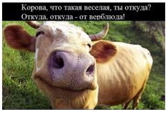 45665676.png