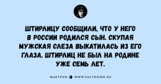 9-4-730x382.png