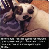 1000104914.jpg