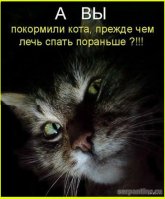 ХД=9.jpg