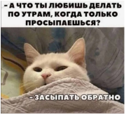 2345345466.png
