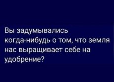 ХД=11.jpg