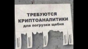 14bf8fc61c_20987313.jpg