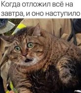 1000105161.jpg