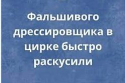 fb7ca0a938_20986735.jpg