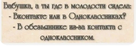 3453535.png